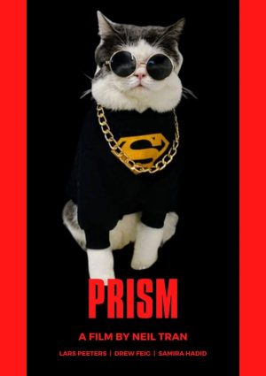 PRISM Personalized Cat Movie Poster