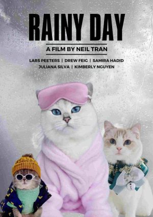 RAINY DAY Personalized Cat Movie Poster