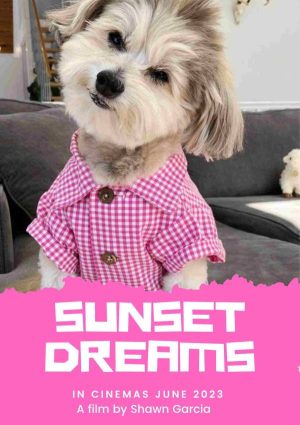 SUNSET DREAMS Personalized Dog Movie Poster