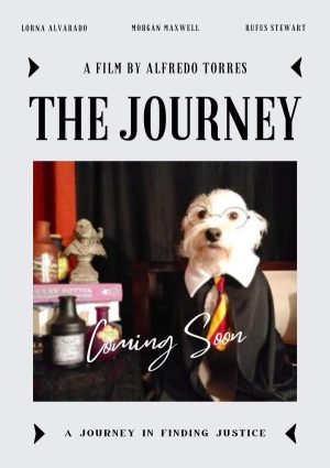 THE DOG JOURNEY Personalized Dog Movie Poster