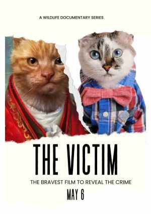 THE VICTIM Personalized Cat Movie Poster