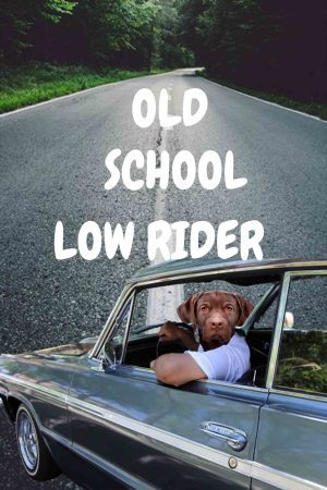 old school low rider canvas